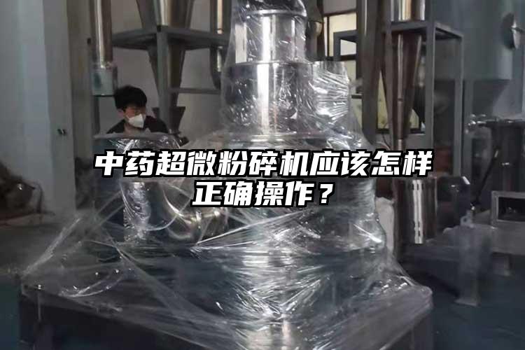 中药茄子免费视频应该怎样正确操作？