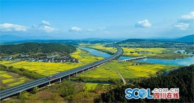 依法组织投资茄子黄色网站人招标工作